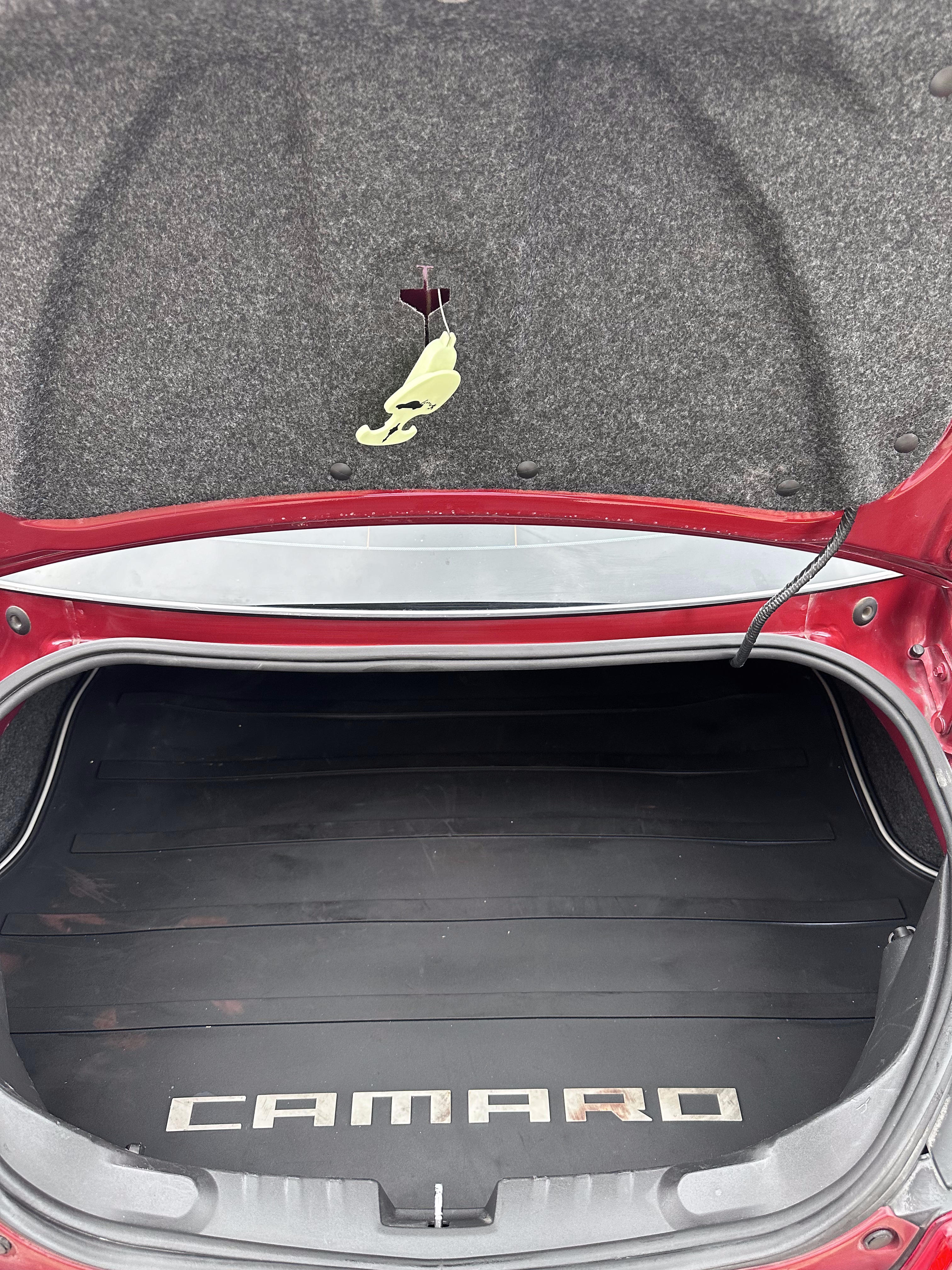 Trunk after detailing