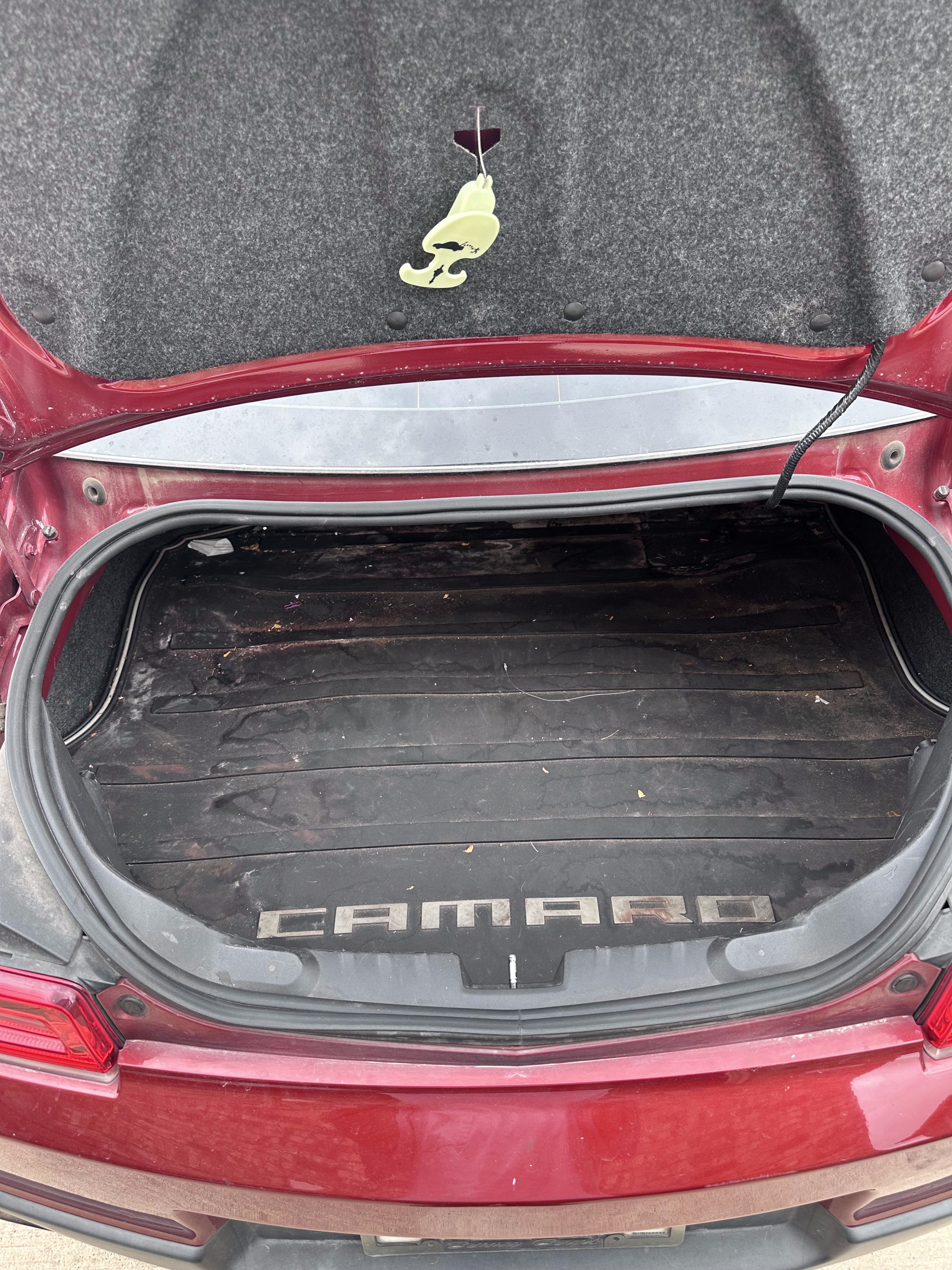 Trunk before detailing